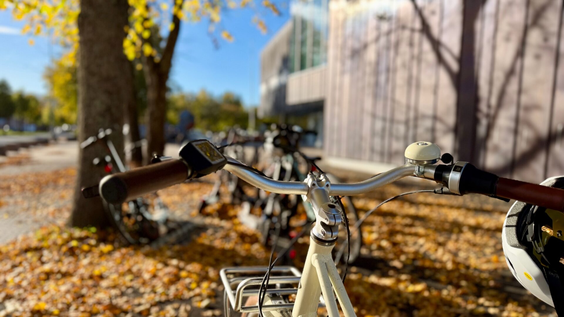 Sykkelstyre i forgrunnen ved Hokksund skole